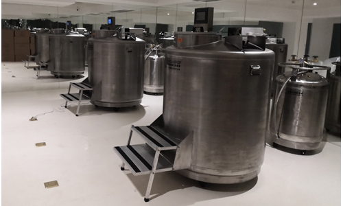 Solution of liquid nitrogen freezing storage system for biological sample bank
